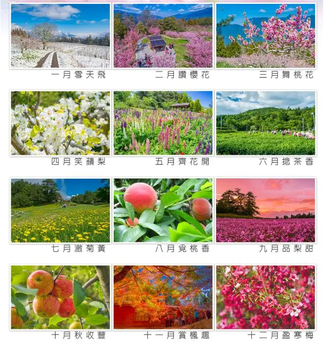 福壽山農場四季風景