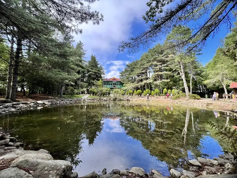 福壽山農場天池