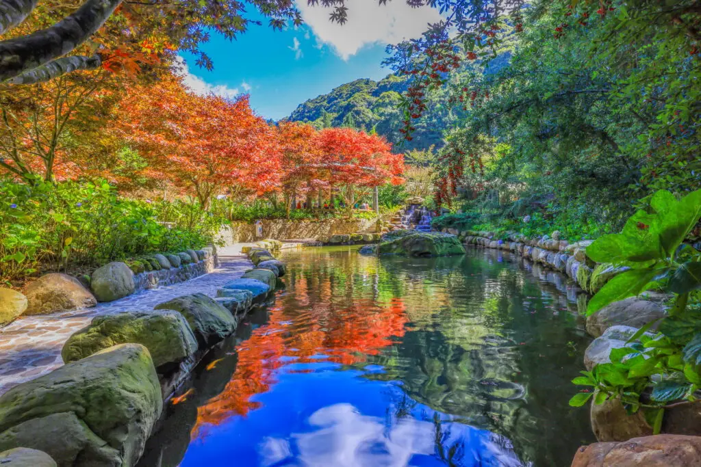 杉林溪園區進入楓紅時節景色