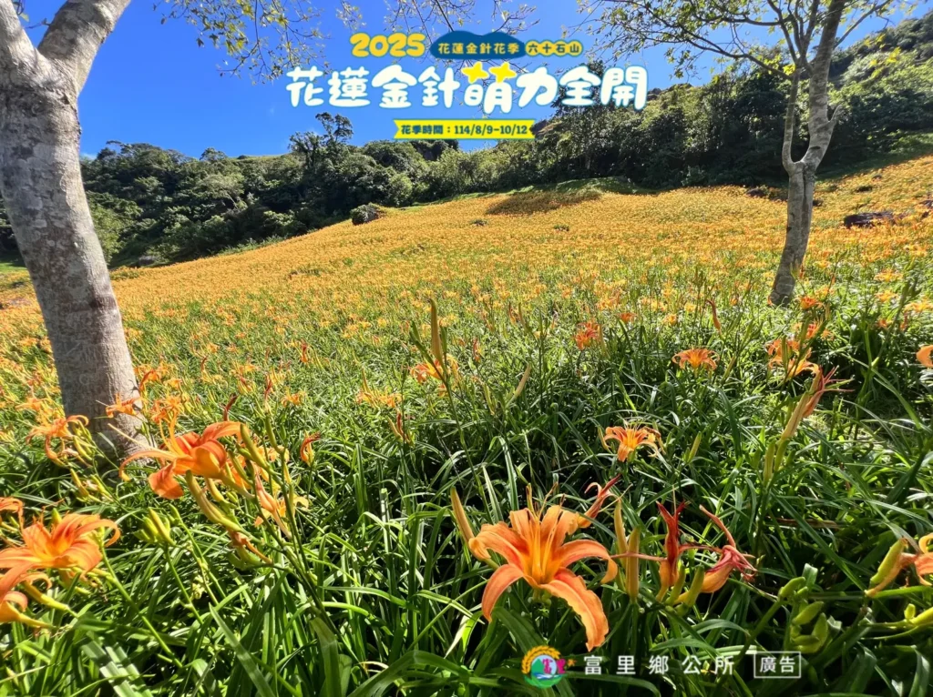 花蓮金針花季-六十石山 赤科山 花蓮金針花季-六十石山 赤科山