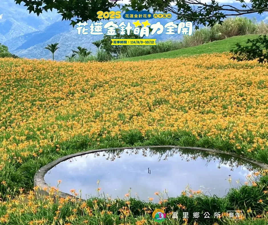 花蓮金針花季-六十石山 赤科山 花蓮金針花季-六十石山 赤科山